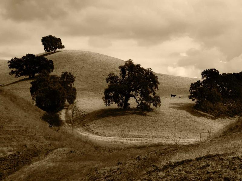 sudoku retro theme screenshot 1